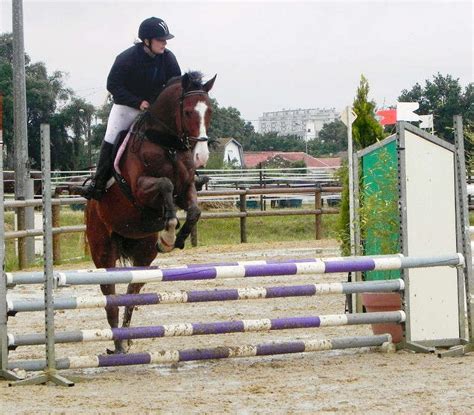 Parcours Equestre